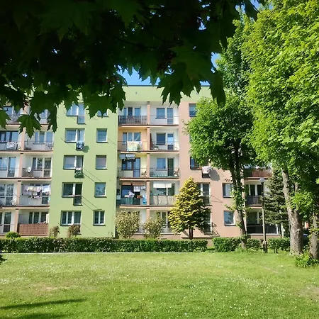 Anna Place *